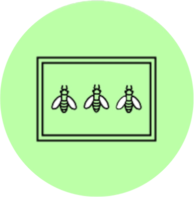 Take a virtual tour of the Wisconsin Insect Research Collection