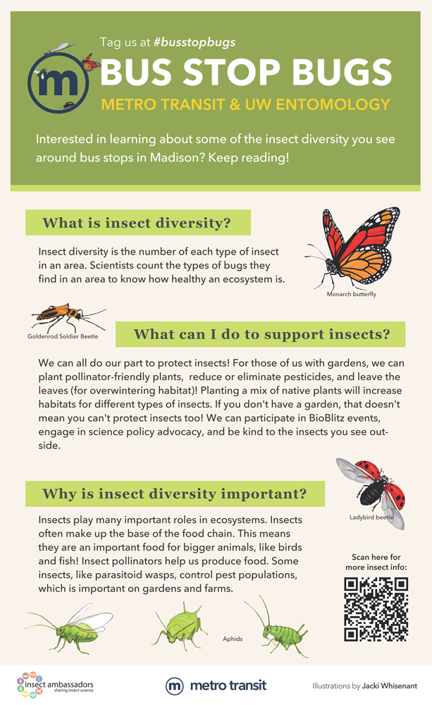 one of the bus stop bugs posters