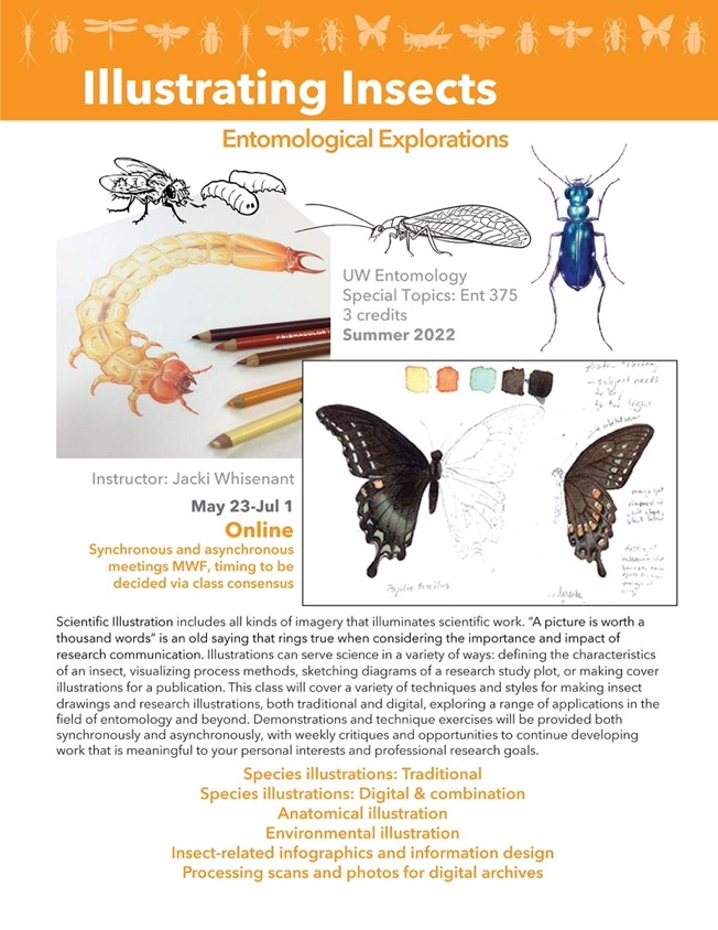 illustrating insects class announcement flyer