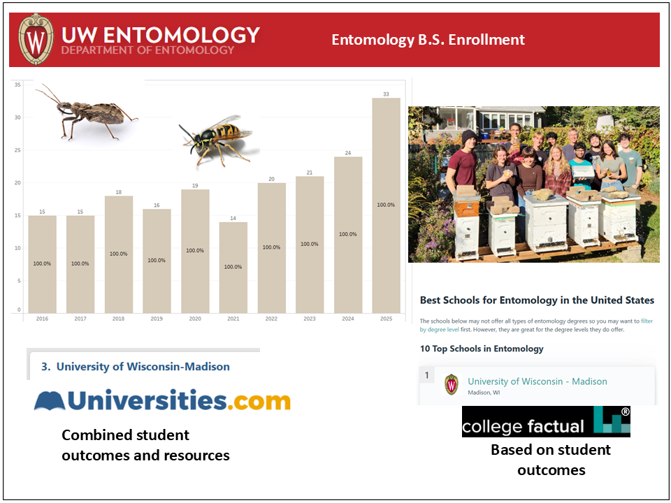 entomology undergraduate enrollment graph