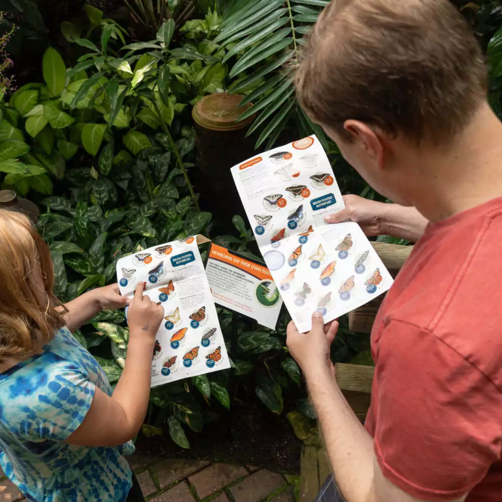 Visitors enjoying Olbrich's Blooming Butterflies Exhibit