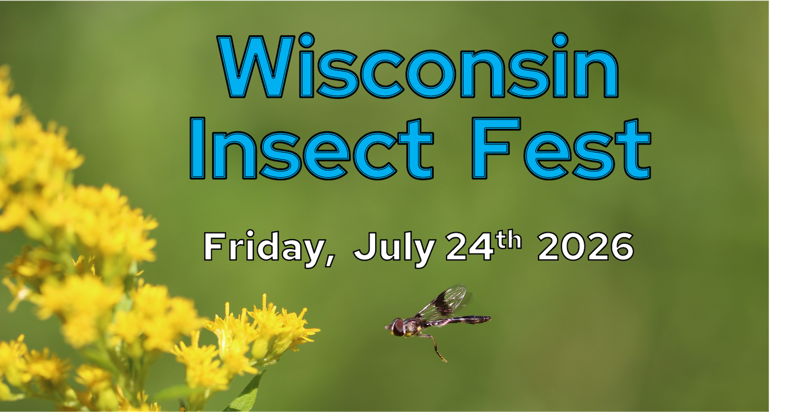 Banner for the 2026 Wisconsin Insect Fest Event