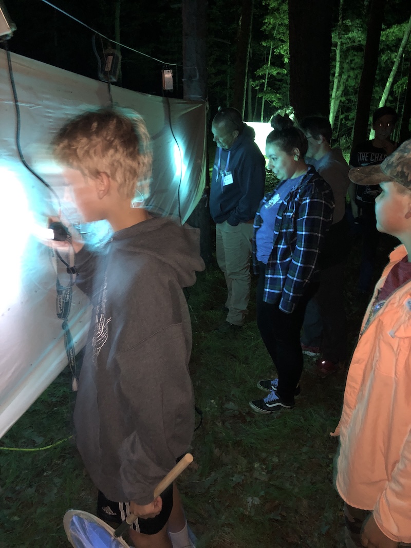 Blacklighting for Insects
