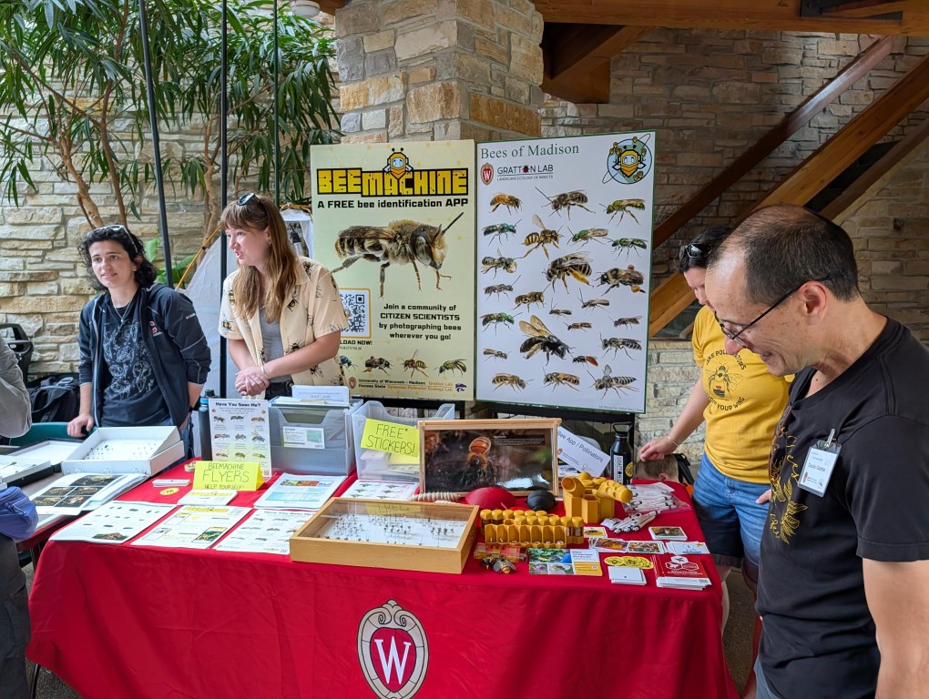 insect fest