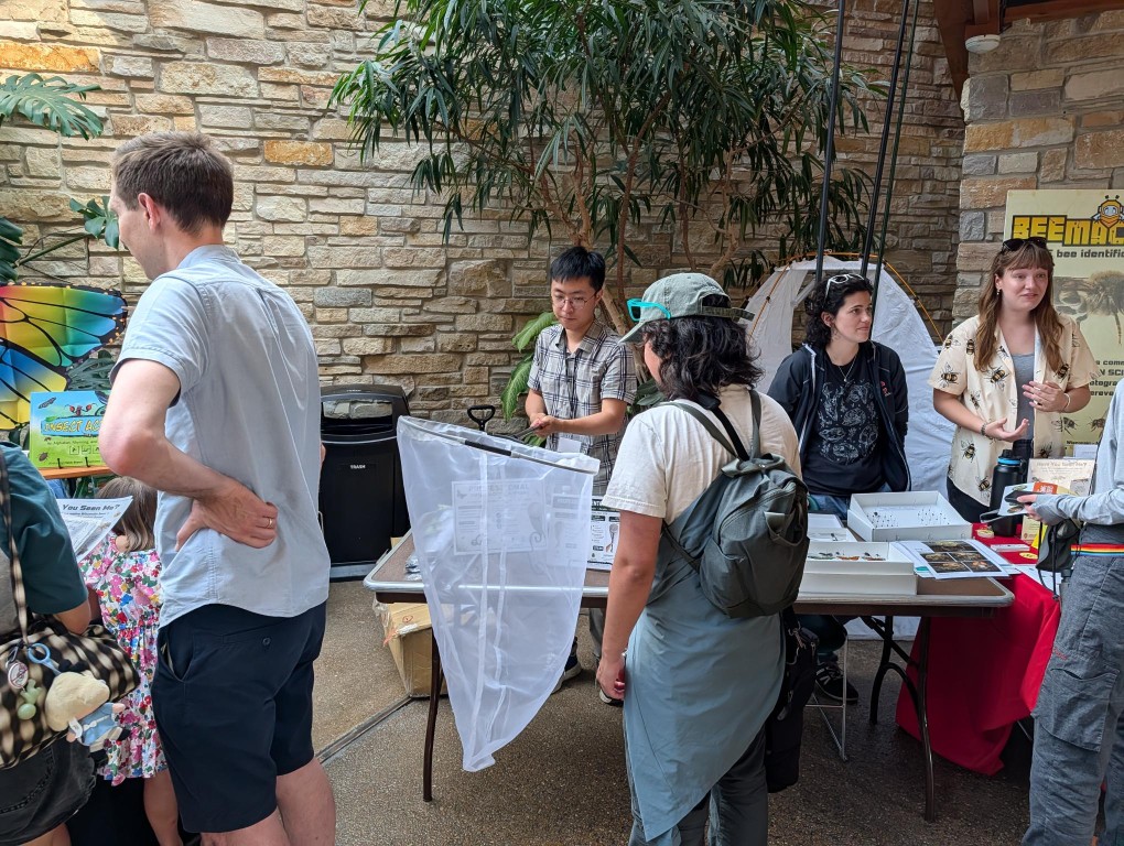 insect fest
