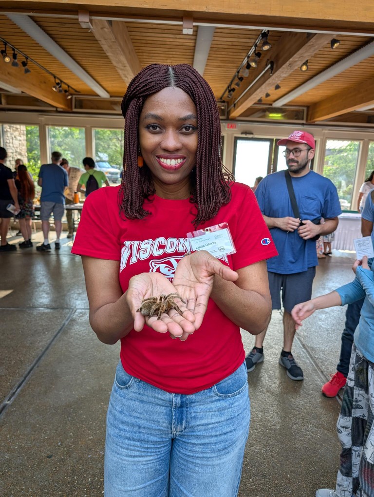 insect fest