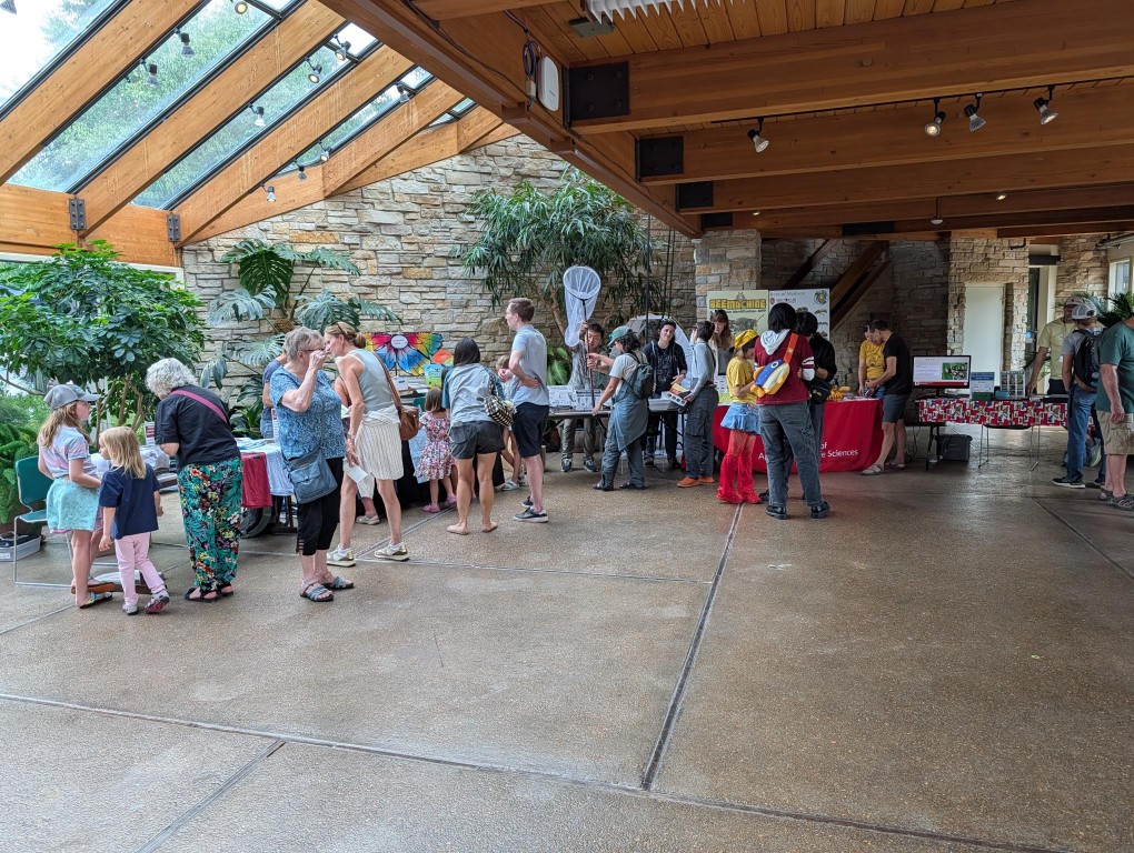 insect fest