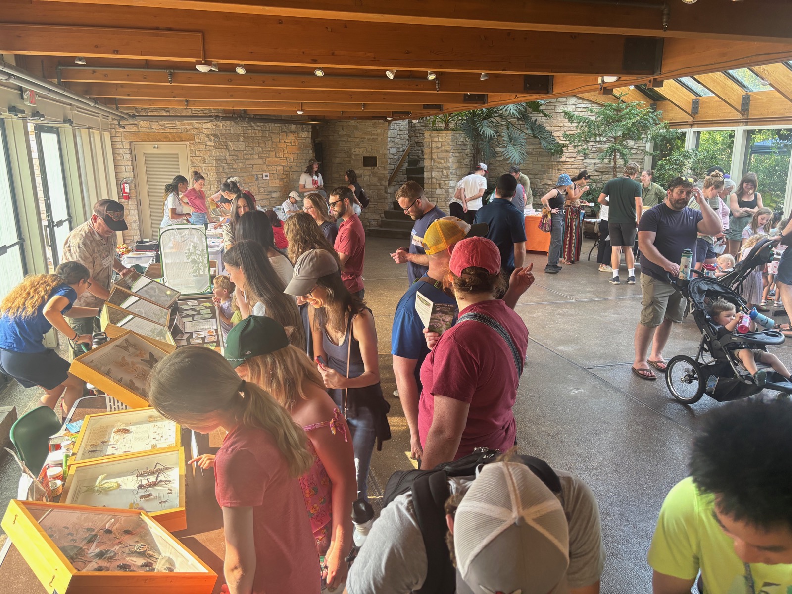 insect fest