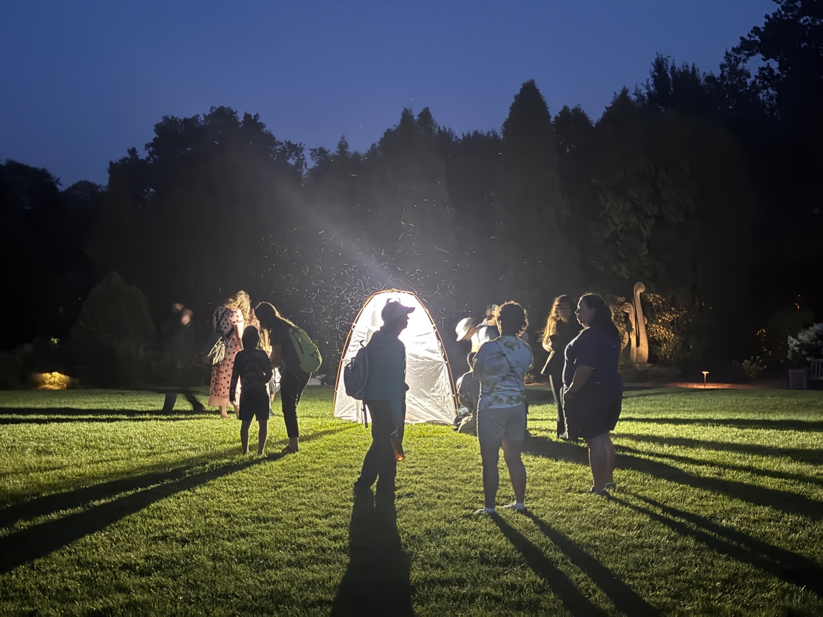 Celebrating Insect Fest 2026
