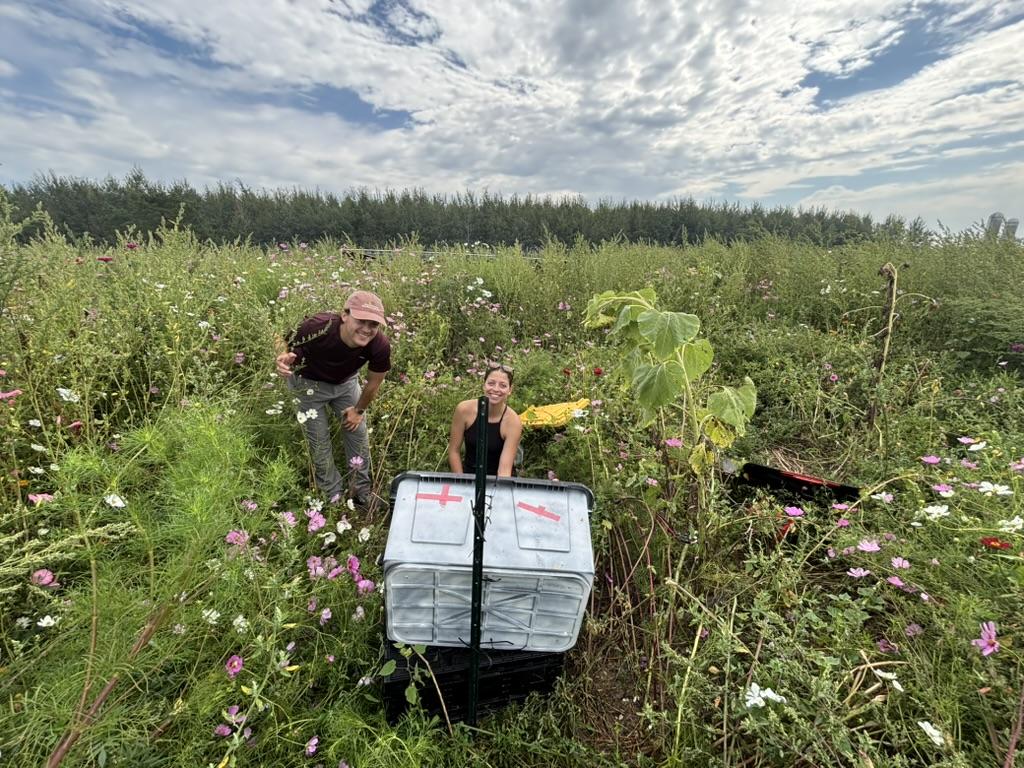 two students in a field