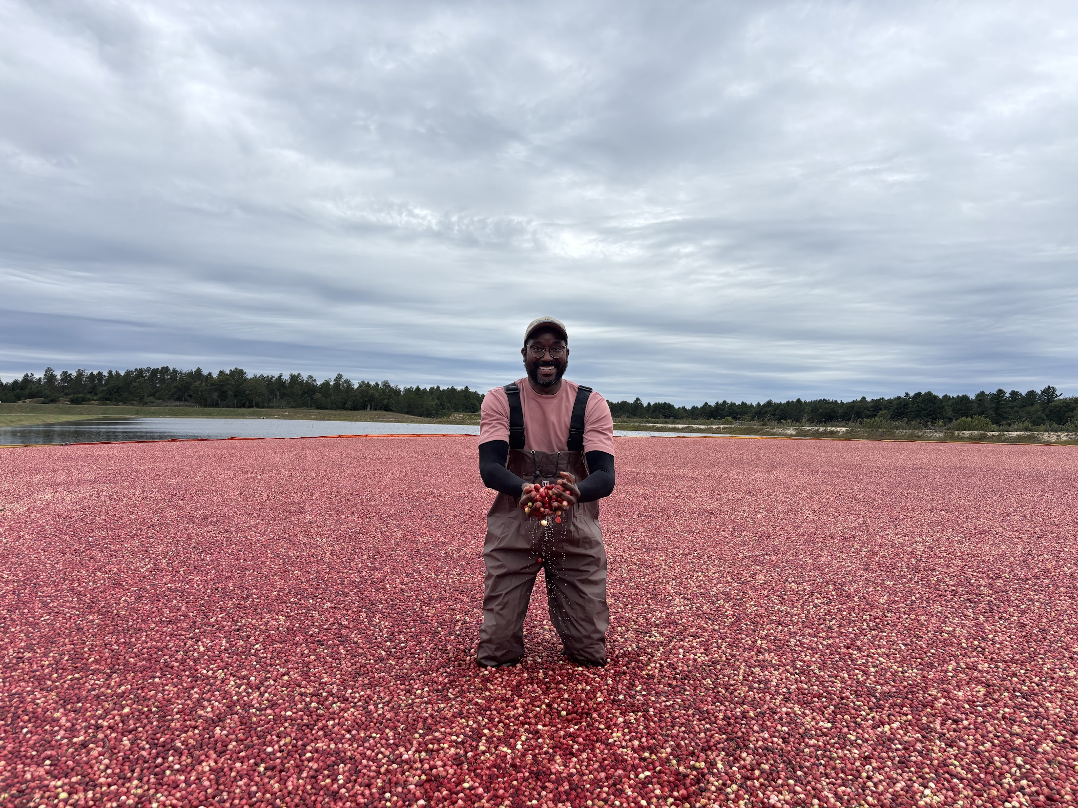 james brown in cranberry bog